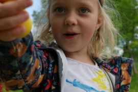 SAM_0094